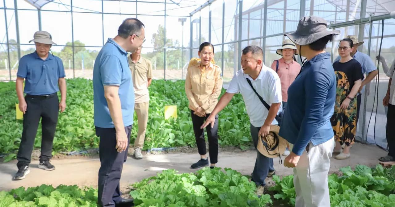 ប្រតិភូជំនាញខាងកសិកម្មខេត្តក្វាងស៊ីប្រទេសចិន ធ្វើទស្សនកិច្ចមូលដ្ឋានគម្រោងកិច្ចសហប្រ តិបត្តិការបច្ចេកវិទ្យាកសិកម្មទំនើប នៅខេត្តកំ ពង់ឆ្នាំង