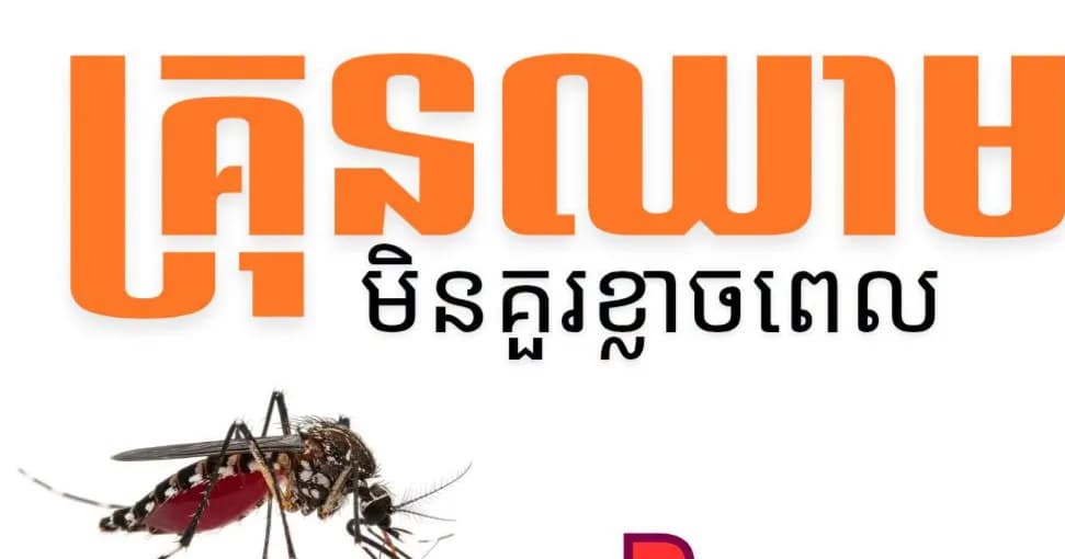 បទយកការណ៍៖ រួមគ្នាការពារជីវិត ក្រុមគ្រួសារ និងសហគមន៍ពីជំងឺគ្រុនឈាម