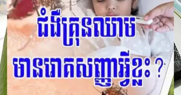 (វីដេអូ)រួមគ្នាការពារជីវិត ក្រុមគ្រួសារ និងសហគមន៍ពីជំងឺគ្រុនឈាម